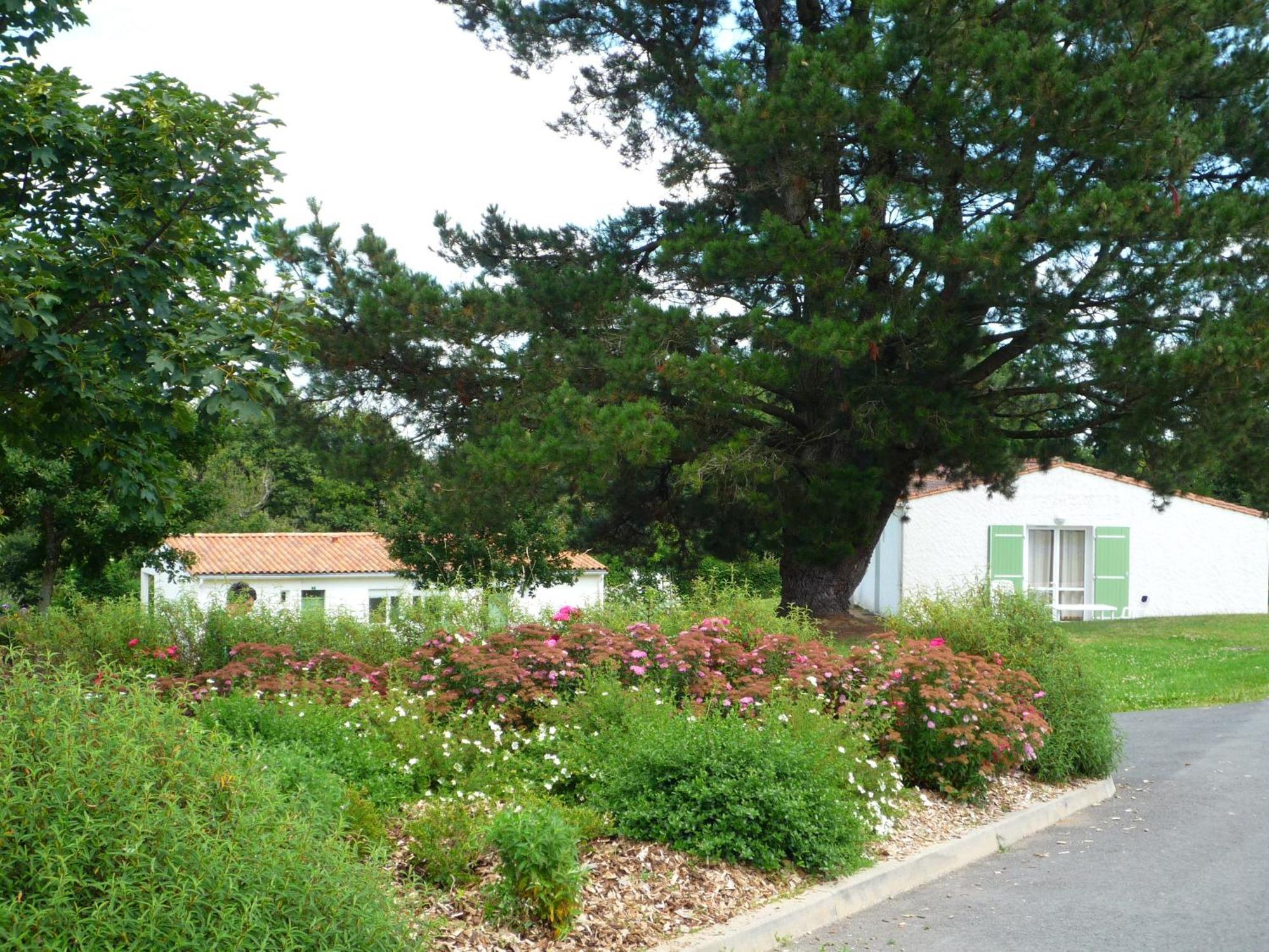 Village Vacances De Chantonnay Exterior foto